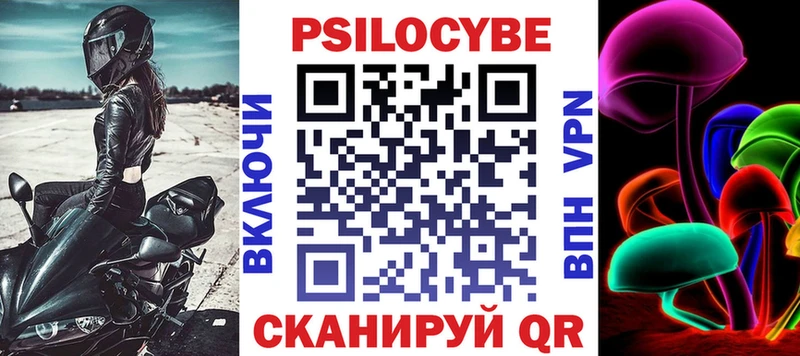 Галлюциногенные грибы Psilocybe  продажа наркотиков  Троицк 